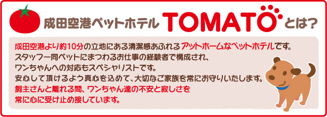 成田空港ペットホテルTOMATOとは？