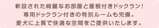 新設された綺麗なお部屋とドッグラン！